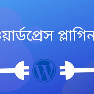 Read more about the article ওয়ার্ডপ্রেস প্লাগিন